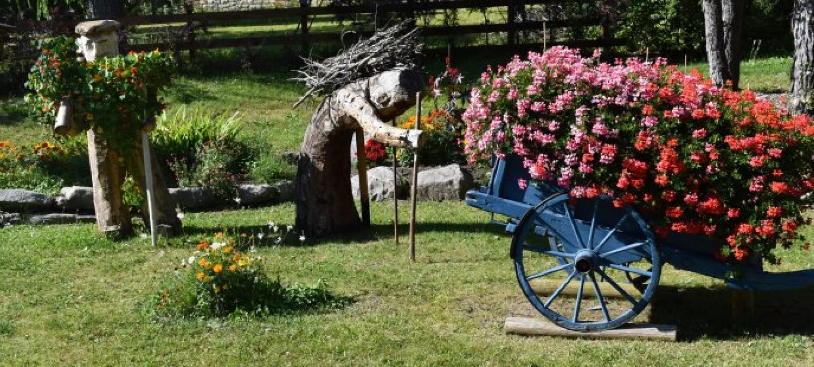 Fleurs - Saint-Pons-sur-Ubaye