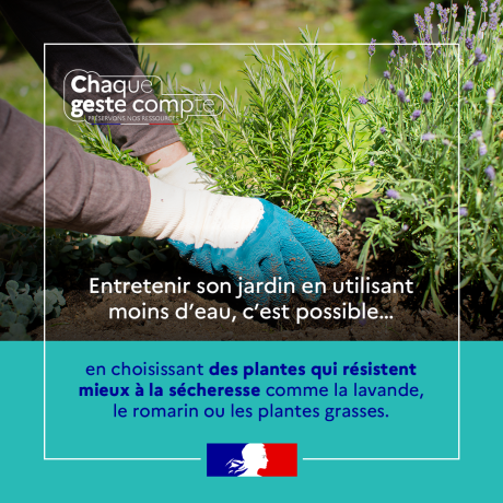 plantes résistantes