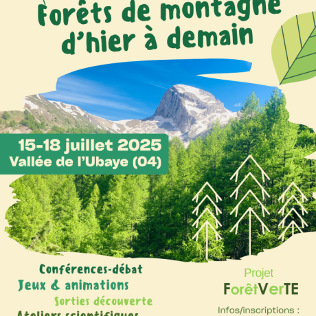 affiche Foret Verte