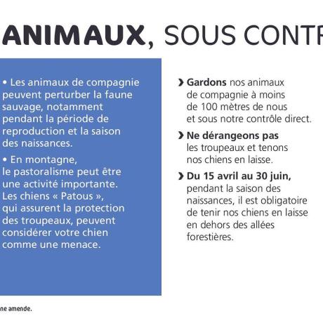 affiche affiche