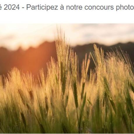 concours photos sabenca