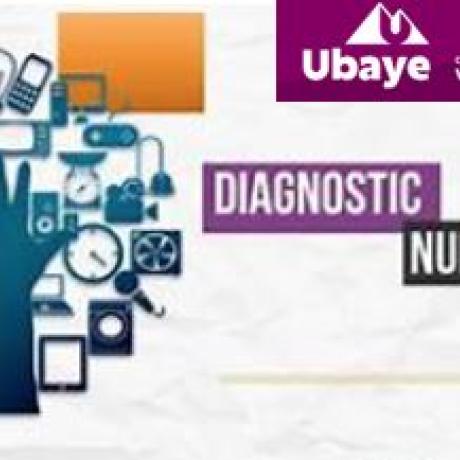 diagnostic besoin numérique