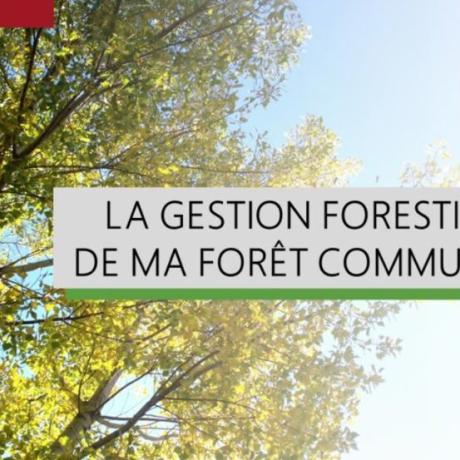 GESTION FORET