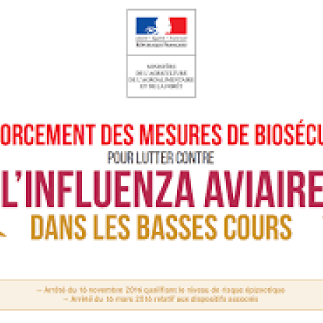 Recensement des oiseaux détenus pour lutter contre l'influenza aviaire