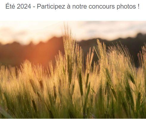 concours photos sabenca