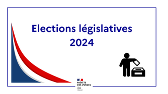 Des-elections-legislatives
