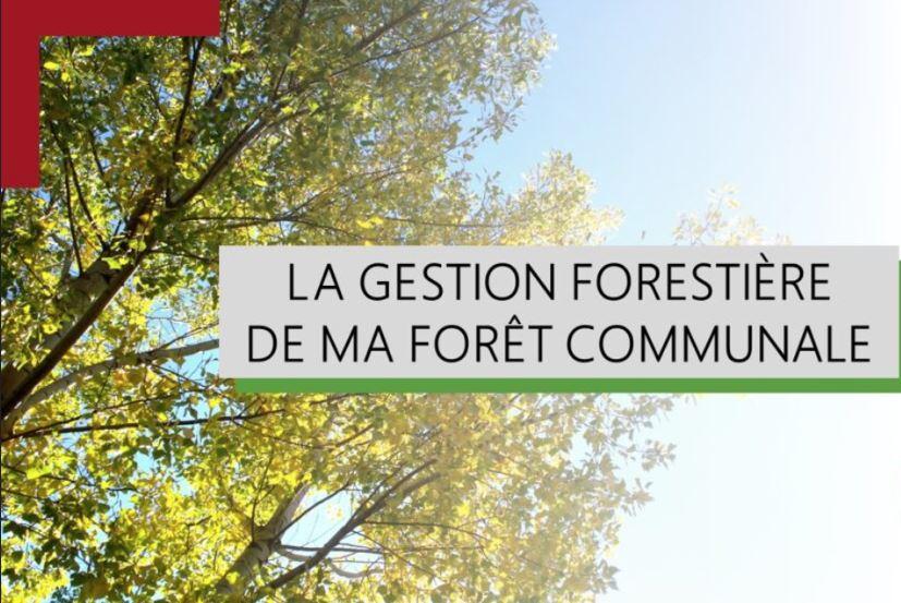 GESTION FORET