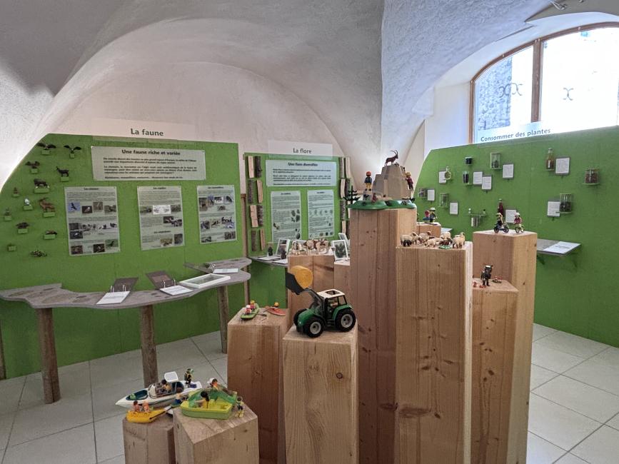 expo