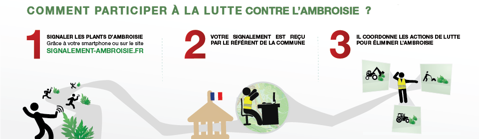 LUTTE AMBROISIE