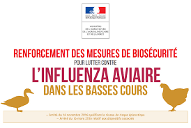 Recensement des oiseaux détenus pour lutter contre l'influenza aviaire
